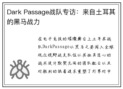 Dark Passage战队专访：来自土耳其的黑马战力