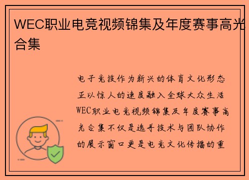WEC职业电竞视频锦集及年度赛事高光合集